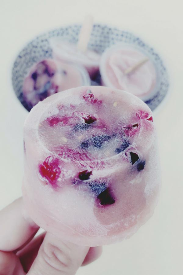 postre de fruits vermells 