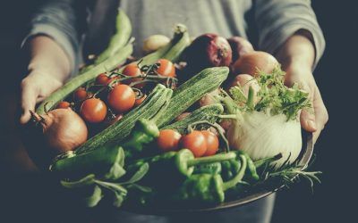 Huerto Urbano: ¿Cómo y por qué empezar a cultivar en casa?
