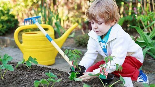 niño cultivando 