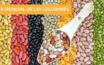 Nos sumamos al día mundial de las legumbres
