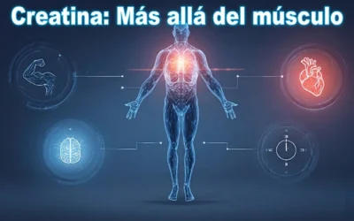 Para qué sirve la creatina más allá del músculo: beneficios físicos, mentales y cuándo tiene (de verdad) sentido tomarla